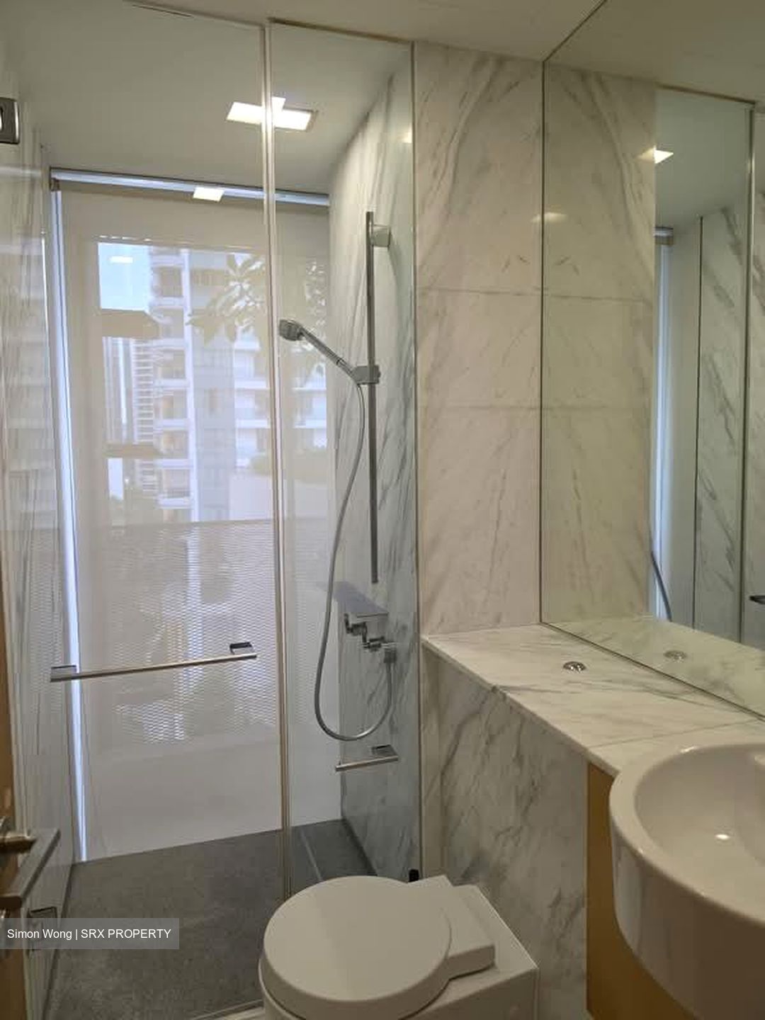 Newton Suites (D11), Apartment #587711931